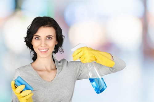 Professional rug cleaning service for a Mayfair home interior