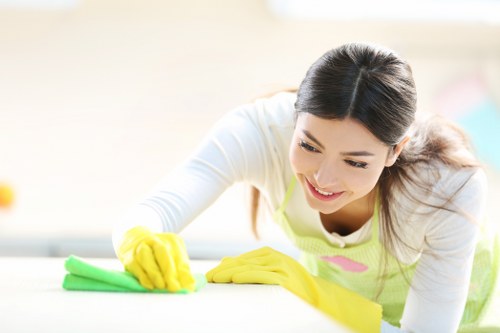 Weekly domestic cleaning service in a Mayfair apartment kitchen