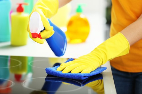 Example carpet cleaning jobs in Mayfair homes and offices