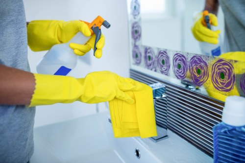 Reviewing a carpet cleaning concern and service details