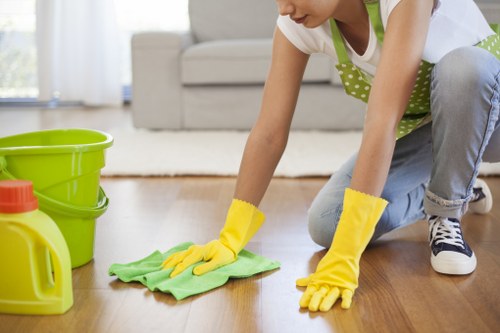 Local cleaners working in a Mayfair apartment with careful attention to detail