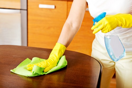 Cleaning a period townhouse in Mayfair before occupancy
