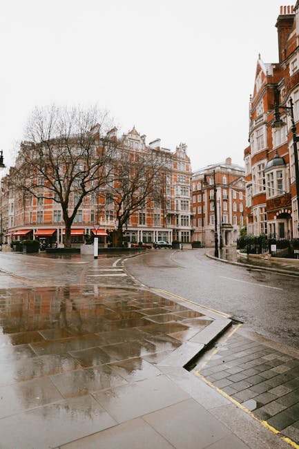 The image depicts a wet street scene in Mayfair, showing glistening pavement and road surfaces from recent rainfall. Elegant Victorian-style red brick buildings with white trim line the street, some with bay windows and ornate architectural details. Bare deciduous trees with branches extending over the sidewalk are visible, indicating a winter or early spring setting. The sky is overcast, contributing to the subdued lighting and reflective surfaces on the wet ground. A corner of the sidewalk and a drainage grate are in the foreground, emphasizing urban cleanliness. This scene illustrates the importance of surface cleaning and maintenance in preserving the aesthetic appeal of high-end residential areas, relevant to domestic and commercial cleaning services offered by Carpet Cleaners Mayfair, especially for surfaces exposed to weather elements, ensuring hygiene and shine.