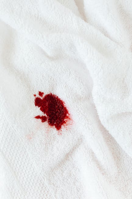 Close-up of a white textured fabric surface, likely a bedsheet or cloth, with a fresh red bloodstain in the center. The bloodstain exhibits irregular edges and a small cluster of splatters surrounding the main spot. The fabric appears clean aside from the stain, and the lighting is bright, highlighting the contrast between the white material and the vivid red color of the blood. This image exemplifies surface cleaning challenges associated with blood stain removal and may relate to emergency spill solutions offered by Carpet Cleaners Mayfair, a specialist in same-day stain removal and sanitisation services for domestic cleaning needs.